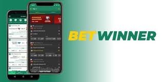 Comprehensive BetWinner Betting Guide