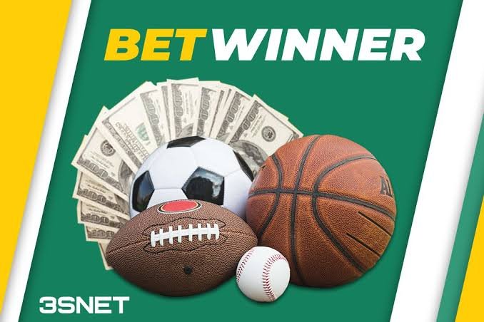 Exploring the BetWinner Platform A Comprehensive Guide