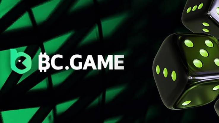 Exploring the Thrills of BC Hash Game Crash Game