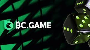 Understanding the BC.Game Login Process A Step-by-Step Guide -777785745