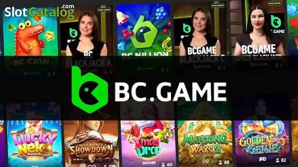 Unlocking the Power of BC Platform App