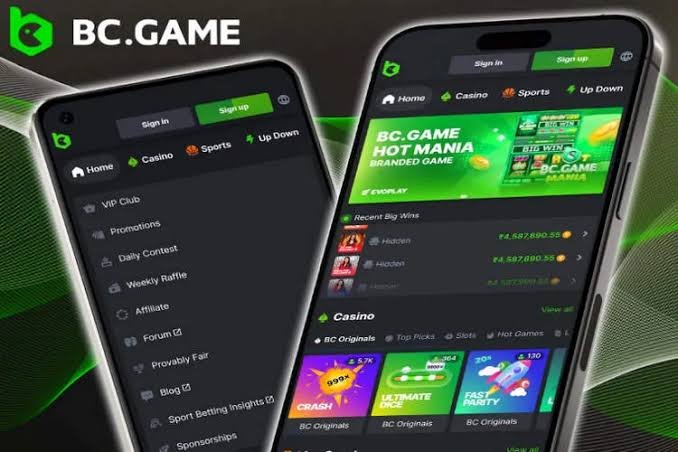 Join the Excitement at BC.Game Estonia